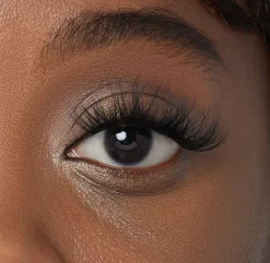 Falsies>Impress Bold Volume | 12 Clusters