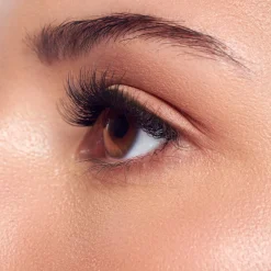 Falsies>Impress Classic Natural | 50 Clusters