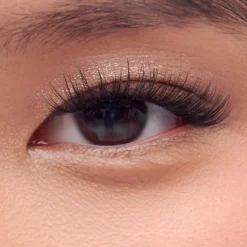 Falsies>Impress Classic Natural | 50 Clusters