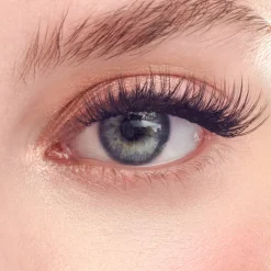 Individual Clusters|Individual Lash Clusters>Impress Classic Volume | 60 Individual Lashes