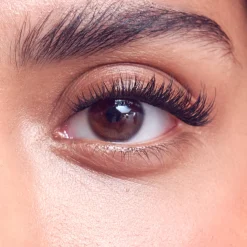 Falscara Studio|Wispy>Falscara Classic Volume Wisps | 36 Wisps