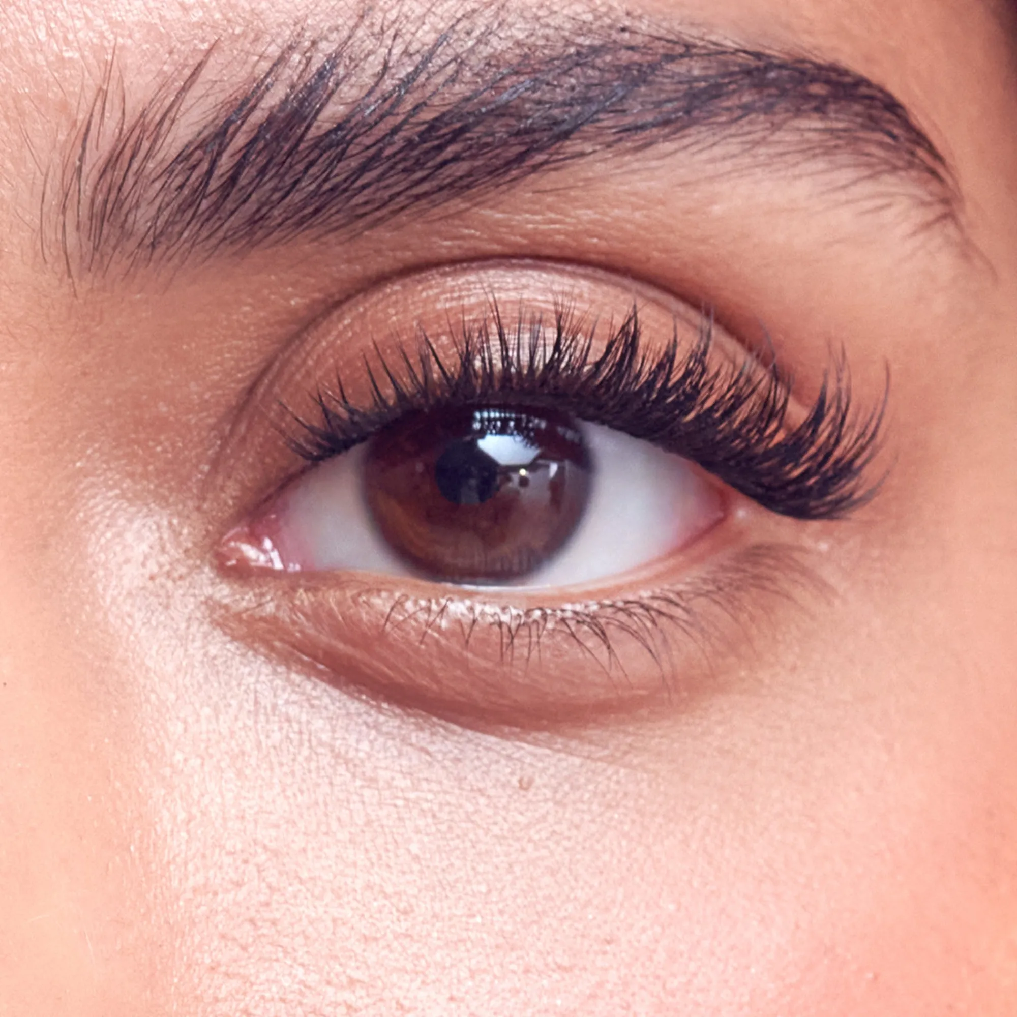 Falscara Studio|Wispy>Falscara Classic Volume Wisps | 36 Wisps