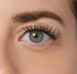Falsies>Impress Classy Natural | 12 Clusters