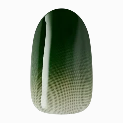 Design Nails|Impress X Wicked: For Good>Impress Defy Expectations