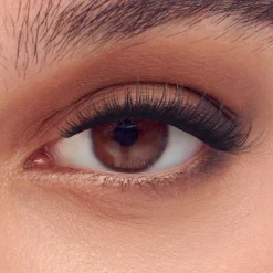 Long Lasting|Long Lasting>Impress Demi Bold | 24 Clusters