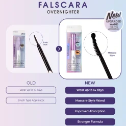 Lash Tools|Lash Tools>Falscara Overnighter Lash Sealer