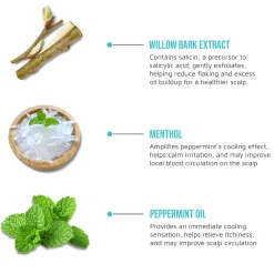 Hair Care>Kiss Colors and Care Peppermint Oil