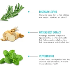 Hair Care>Kiss Colors and Care Rosemary & Mint Oil