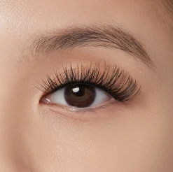 Falsies>Impress Sleek Natural | 12 Clusters